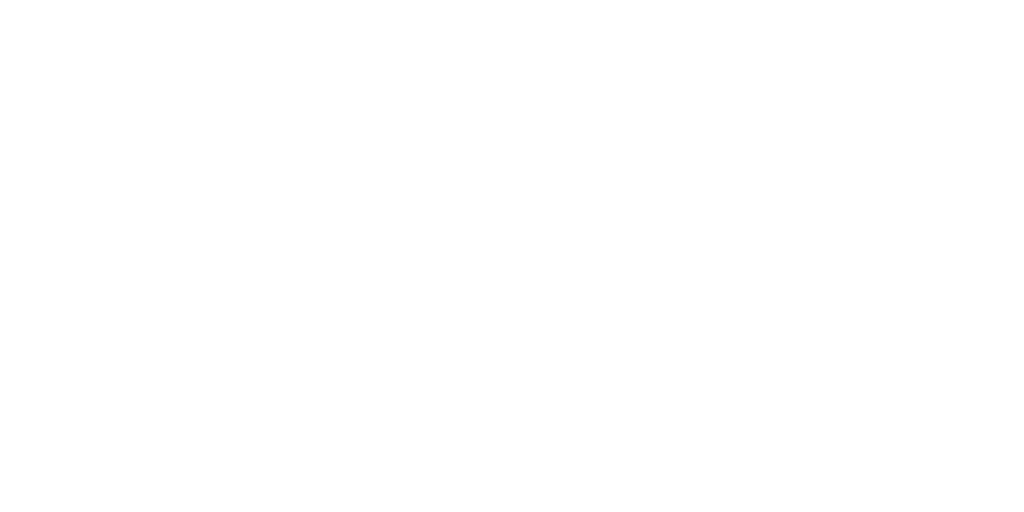 ConnectWith9 Logo
